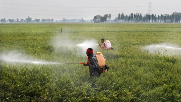 India agriculture pesticides